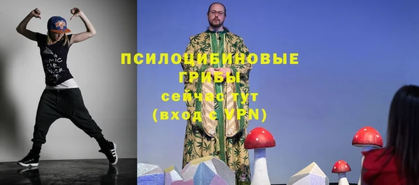 2c-b Алексин