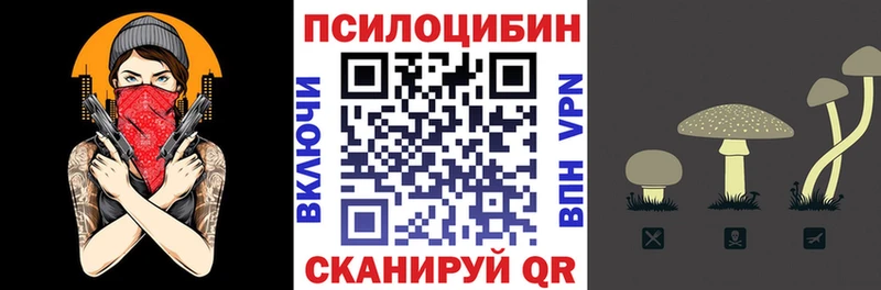 мориарти какой сайт  купить закладку  Новороссийск  Псилоцибиновые грибы Magic Shrooms 