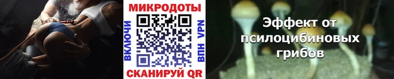 Галлюциногенные грибы Psilocybine cubensis Новороссийск